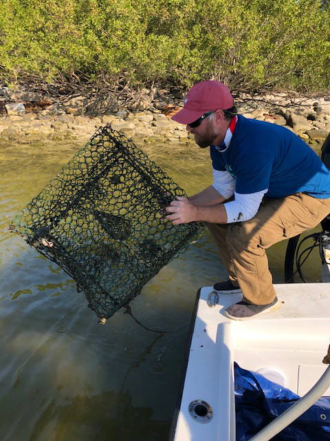 A person pulls a derelict crab trap out of the water and on to a boat.