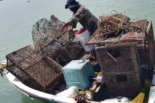 A pile of derelict fishing gear on a fishing vessel.