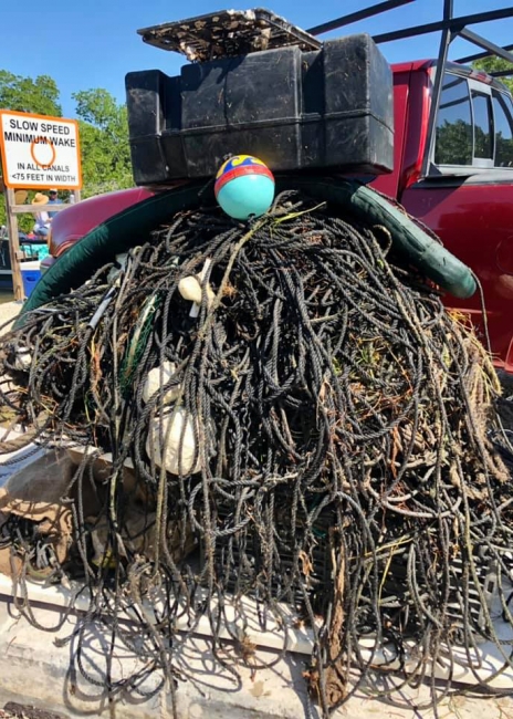 A pile of severed trap lines.