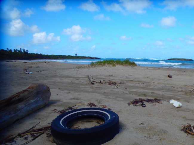 A Caribbean beach with a tire and other marine debris.