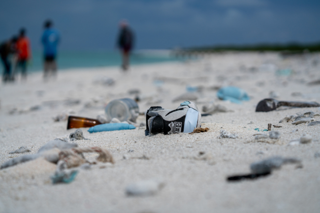 marine debris on a beach.