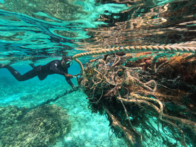 A person diving down underwater to retrieve a large net.