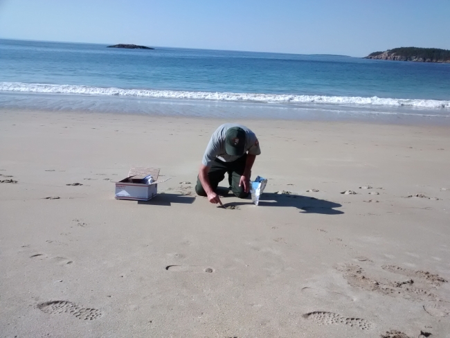A person taking a sand sample on a beach.