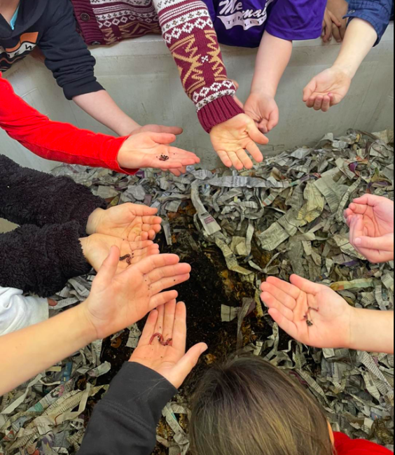 Hands hold worms. 