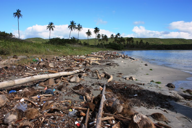 Marine debris mixed with natural debris on a beach shore.