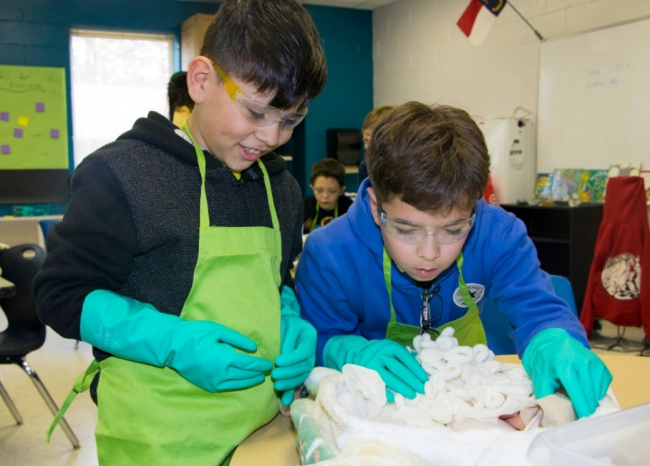 Students investigate stuffed toy sea turtle.