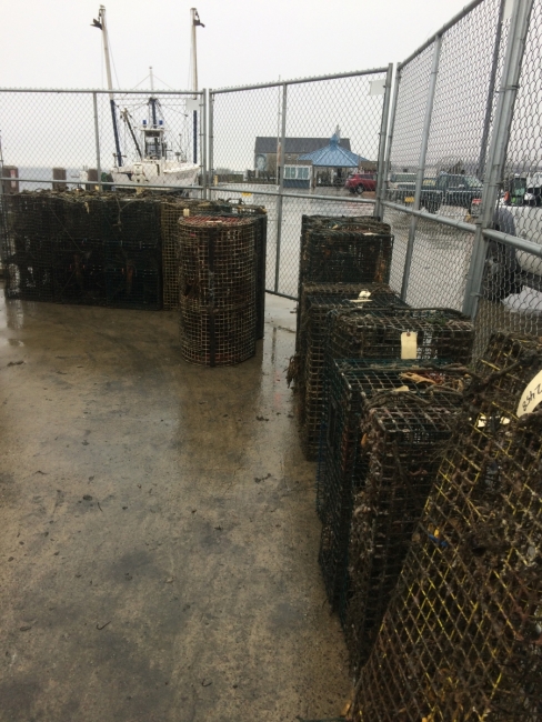 Derelict lobster traps stacked on the ground with a parking lot, building, and boat in the background. 