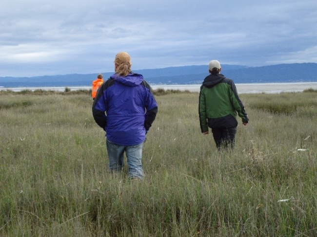 People walking in a field.