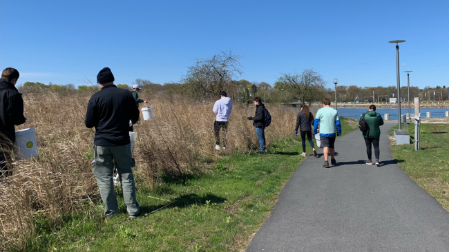 People with buckets collecting litter in a grassy area near a shore.