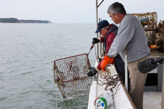 Two people pulling up a derelict crab trap on the side of a boat.