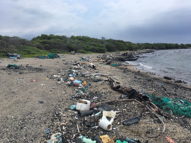 Debris along beach. 