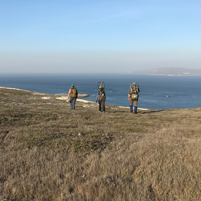 Three people hiking down a grassy hillside toward the ocean.