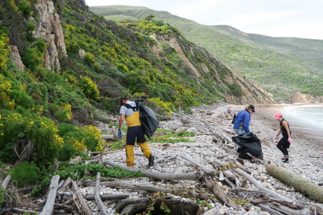 People cleaning up debris on a beach.