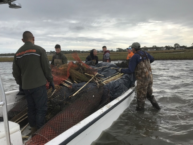Project participants haul debris. 