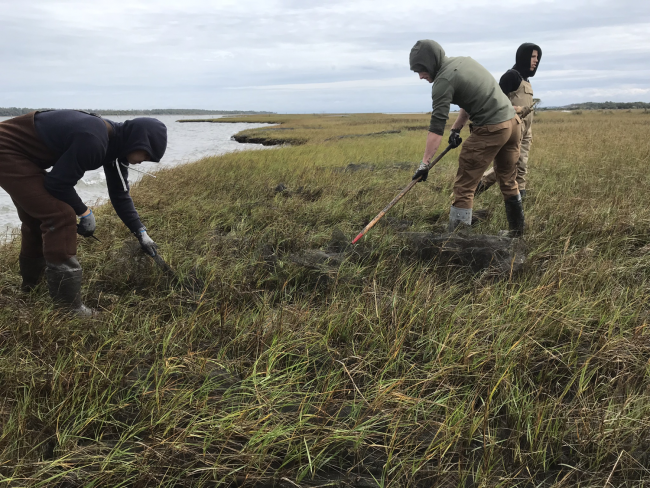 Project participants removing derelict aquaculture gear and debris. 