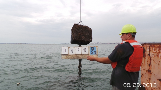 A piece of marine debris being hauled out of the water by a crane.