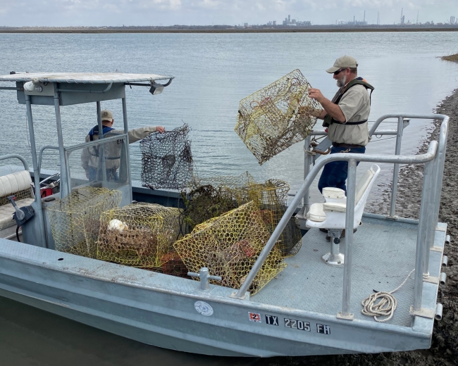 Man lifting a derelict crab trap from a pile of abandoned traps in a boat.