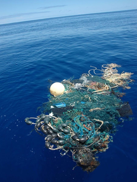 Nets and ropes floating in water.