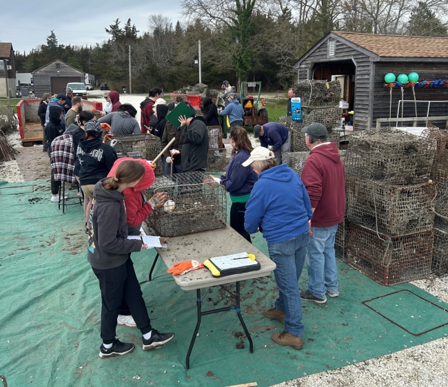 A group of people in a line processing derelict crab traps.