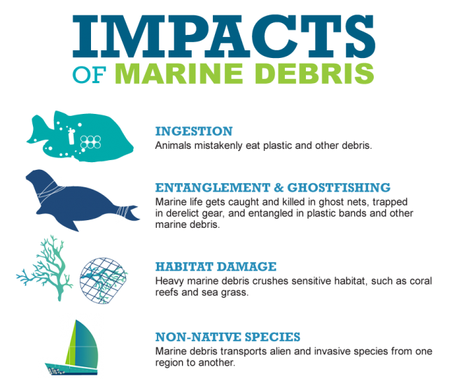 Graphic of the impacts of debris: ingestion, entanglement & ghostfishing, habitat damage, and non-native species.