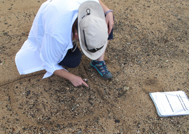 Someone crouched on the sand looking at bits of debris.