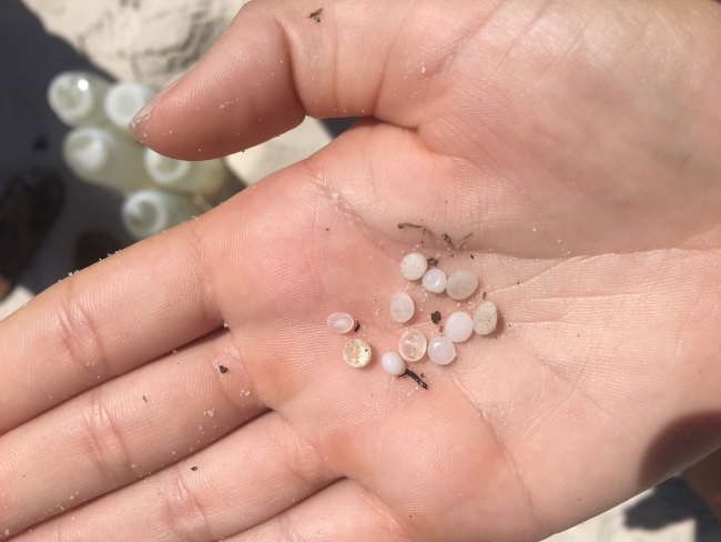 A hand holding nurdles.