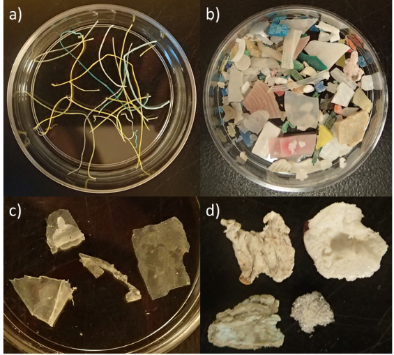 Images of microfibers, micro-fragments, micro-films, and foamed plastic.