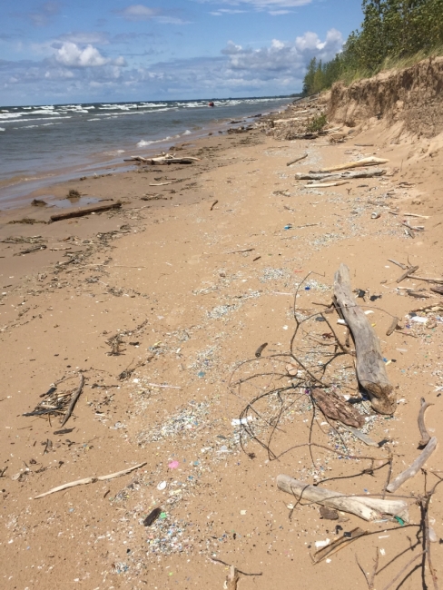 Microplastics spread out along a stretch of shoreline of the Great Lakes.  