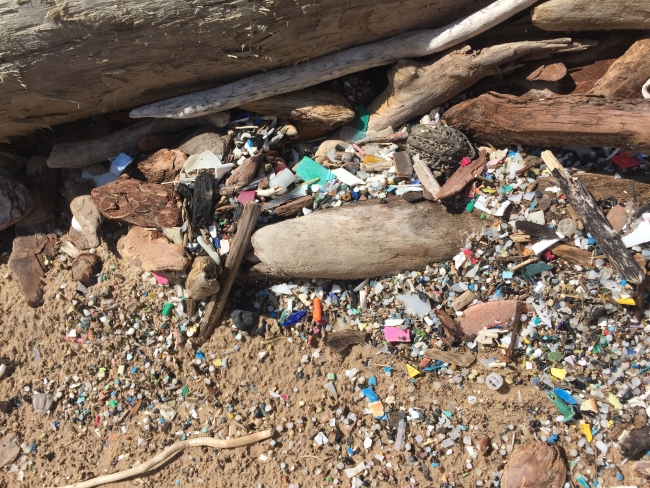 A close-up of microplastic debris by a log on a beach.