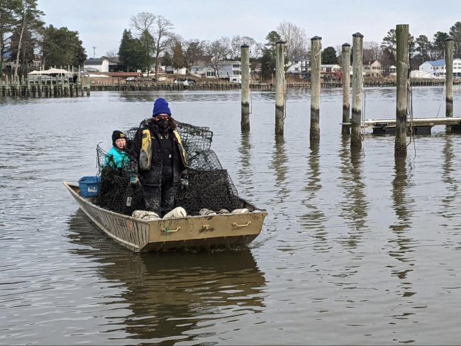 Two volunteers in a small boat loaded with recovered derelict crab traps.