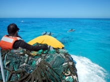 Spinner dolphins frolic around the bow of our inflatable Zodiac boat, which was jammed full of derelict fishing lines and nets after a day at Pearl and Hermes Atoll.
