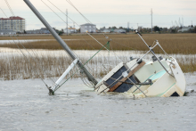A sunken sailboat in a marsh.