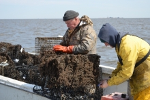 Two people secure derelict crab traps to a boat.