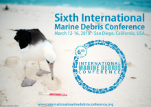 Image of an albatross looking at debris on a beach with the 6IMDC identity marker on the photo.