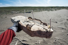 A hand holds up a piece of foam debris. 