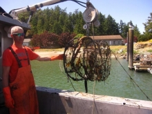 A person stands on a boat holding an old, round crab pot that was collected from the sea.