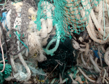 Derelict nets and ropes.