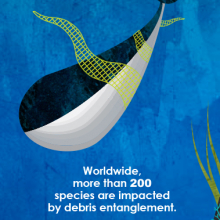Bookmark art of an orca tangled in a yellow net.