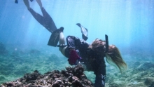 A diver removes fishing line from a coral head.