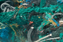 A mass of derelict nets in water.