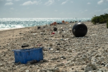 Marine debris on Midway Atoll. 