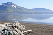 Marine debris on a beach with a mountain in the background. 