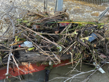 Sticks and other trash against a fence along a river. 