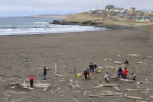 Cleanup volunteers removing debris on a beach.