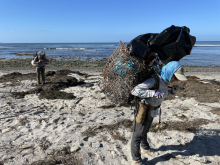 Volunteers hike out of a cleanup site with debris on their backs.