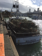 A boat full of derelict crab traps collected by commercial fishermen.