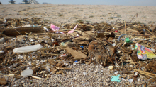 Food wrappers and other pieces of plastic on a beach.