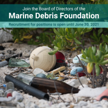 Mixed debris near shrubby vegetation on a beach.