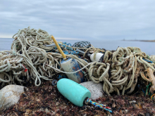 Lines, traps, and buoys on a rocky shoreline.