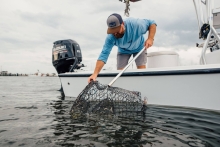 A man bends over the side of a boat to retrieve a crab pot. 